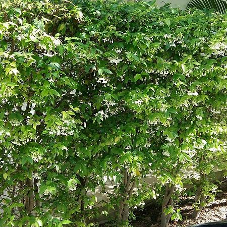 Saver Guesthouse 查汶海滩 外观 照片