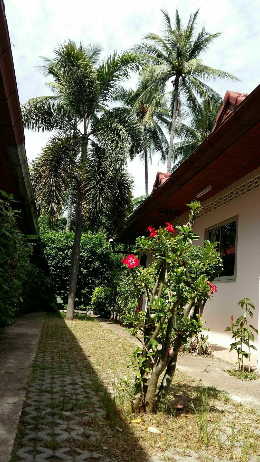 Saver Guesthouse 查汶海滩 外观 照片